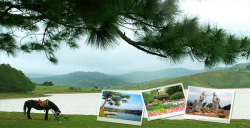 Du lịch Đà Lạt – Thành phố mộng mơ