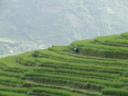 Độc đáo Bình Liêu – Quảng  Ninh