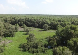 Khám phá An Giang mùa nước nổi trong hai ngày