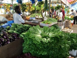 Du lịch Maldives không chỉ có tắm biển