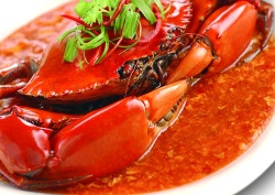 Khám phá văn hóa ẩm thực Singapore