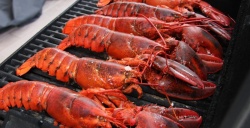 Những món ngon khó cưỡng khi đi du lịch Côn Đảo