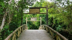 Xẻo Quýt - Vẻ đẹp đất sen hồng