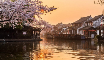 TOUR  THƯỢNG HẢI - HÀNG CHÂU - TÔ CHÂU - PHỐ CỔ TÂY ĐƯỜNG 5N4D 